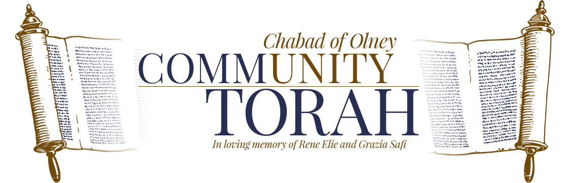 Torah Campaign